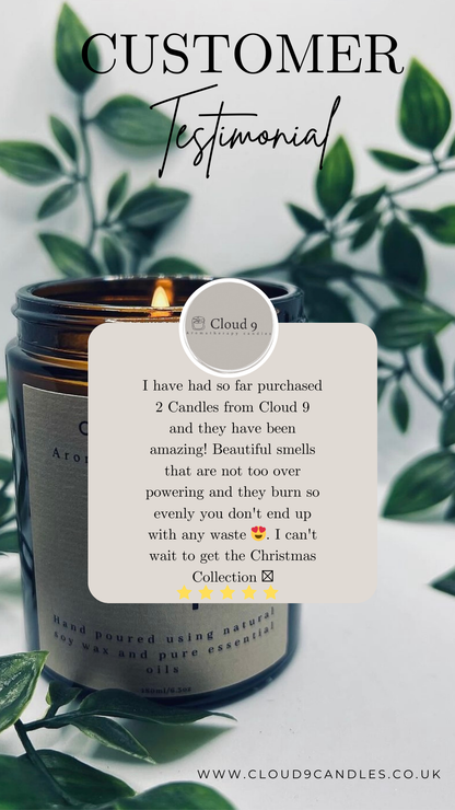 Customer Review